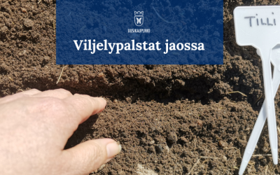 Viljelypalstat jaossa