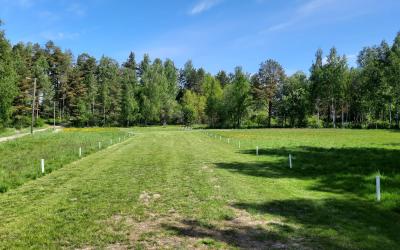 frisbeegolfrata jossa avoin kenttä keskellä niittyä taustalla lehtimetsää