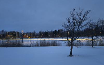 kaupunginlahti