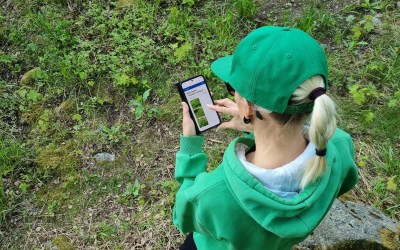 Kuvassa nainen, joka tutkii kännykästä kasvien tunnistuskuvia. 