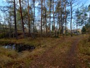 Kuntopolku ja sen vieressä sijaitseva soistunut lampi