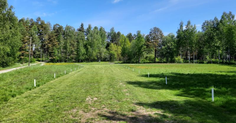 frisbeegolfrata jossa avoin kenttä keskellä niittyä taustalla lehtimetsää