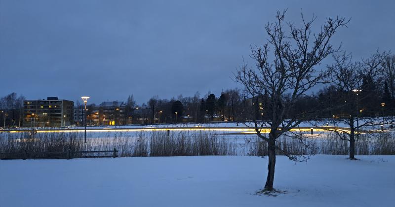 kaupunginlahti