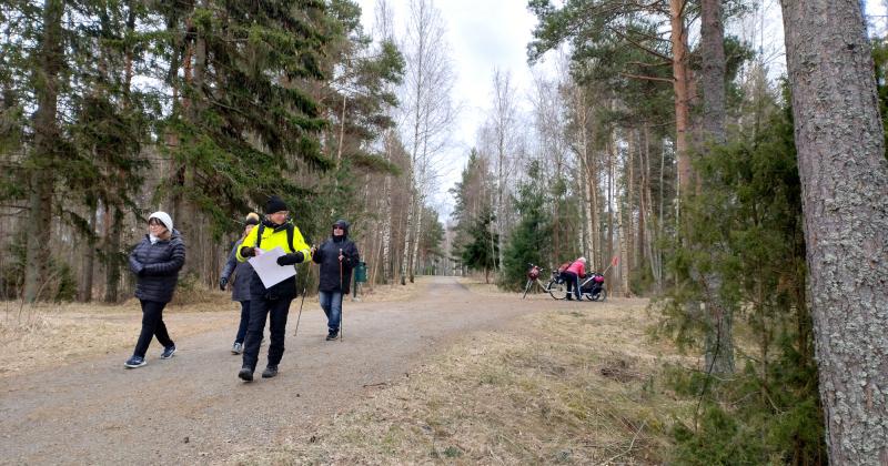 Kävelijöitä Käätyjärven reitillä, ihmisiä ja leveä sorapolku metsän siimeksessä.