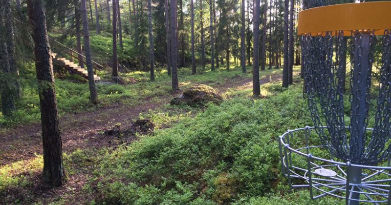 frisbeegolfkori keskellä mäntymetsään taustalla kuntoportaat