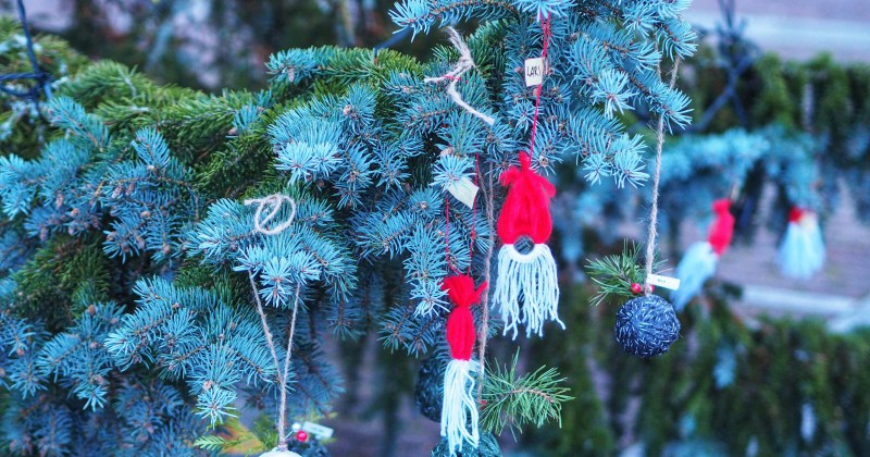 Pallot joulukuusen oksilla.