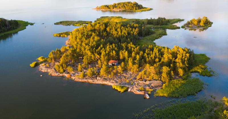 Saari091.jpg Saari091.jpg