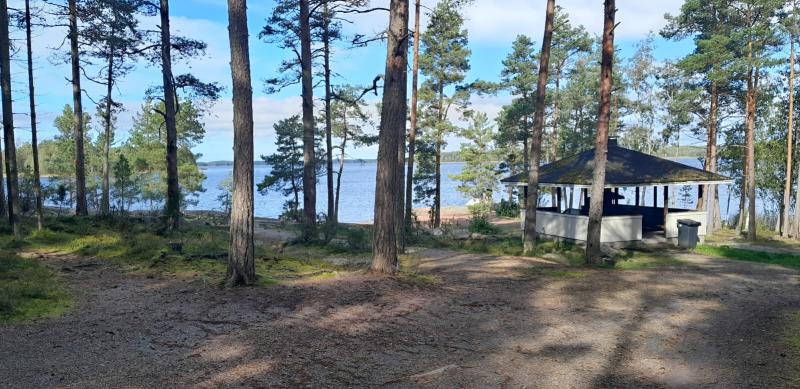 Mäntyisen metsän siimeksessä grillikota taustalla järvi